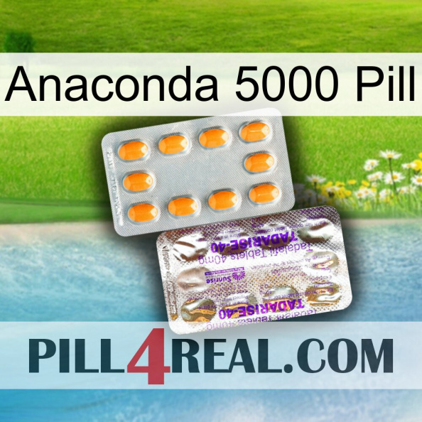 Anaconda 5000 Pill new12.jpg